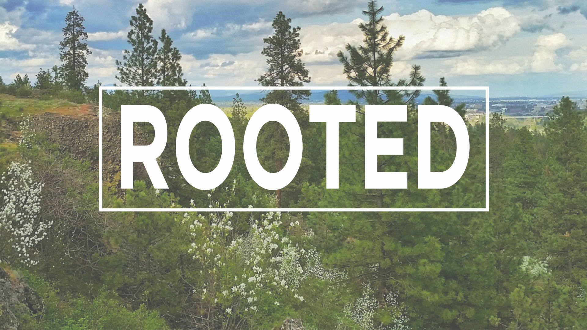 Rooted event pic