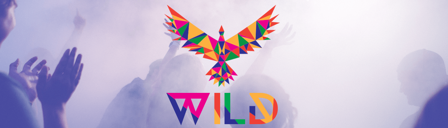 Wild slider