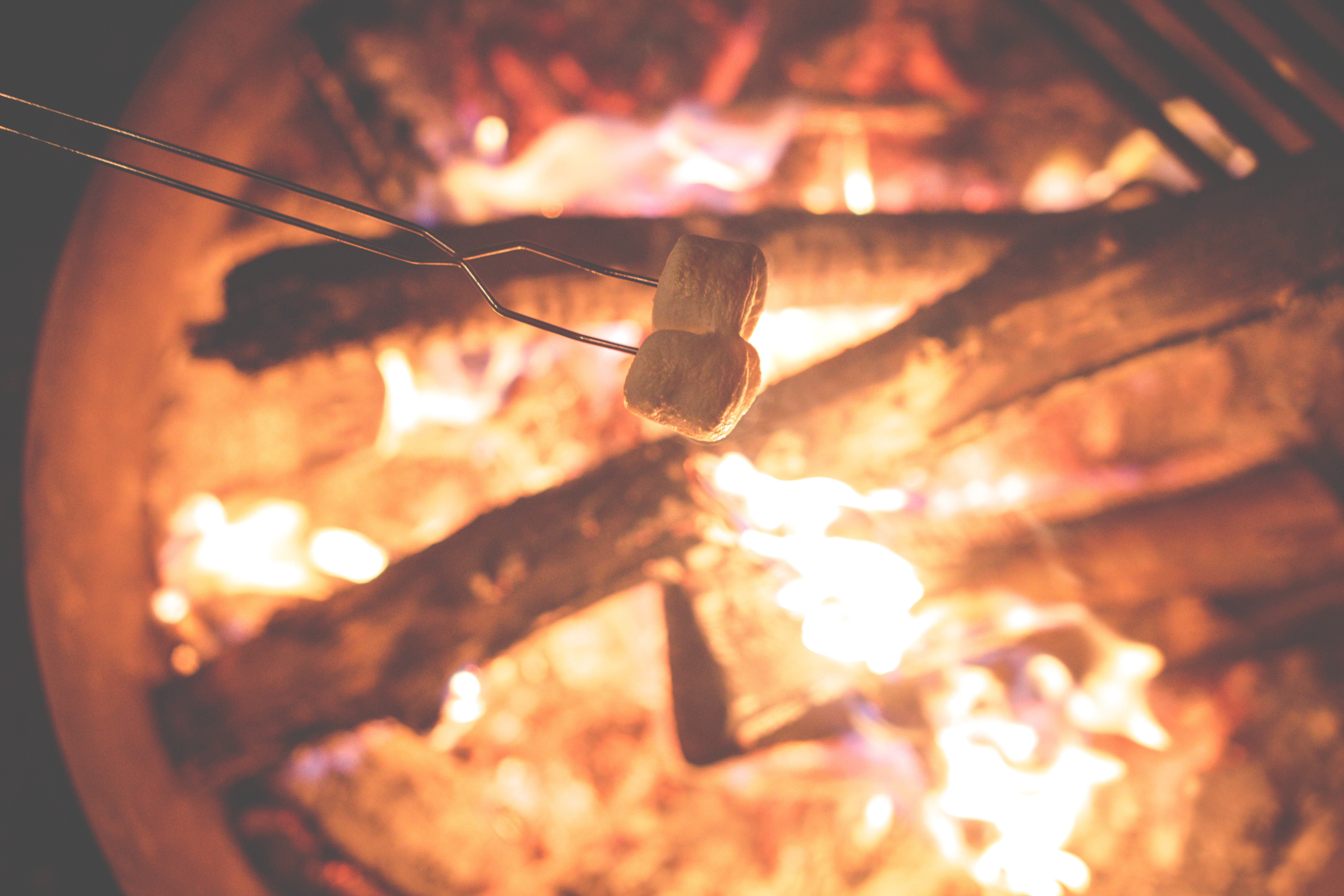 Alex holt 41510 unsplash