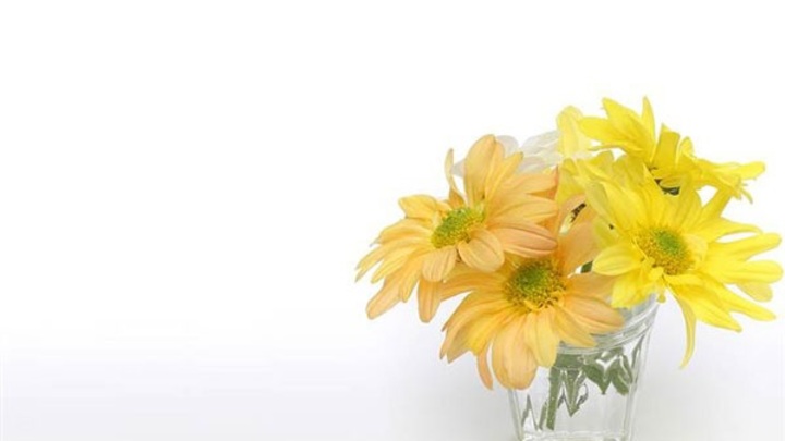 Altar Flowers-Carmel Sanctuary logo