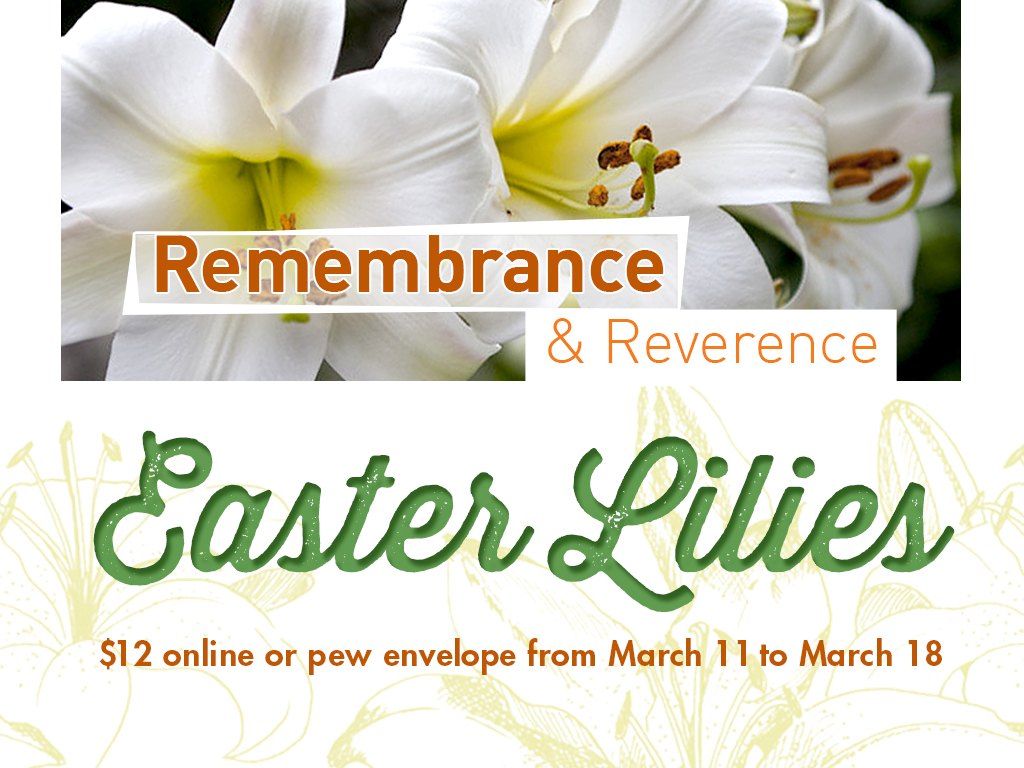 Easter lily sale2018 sq