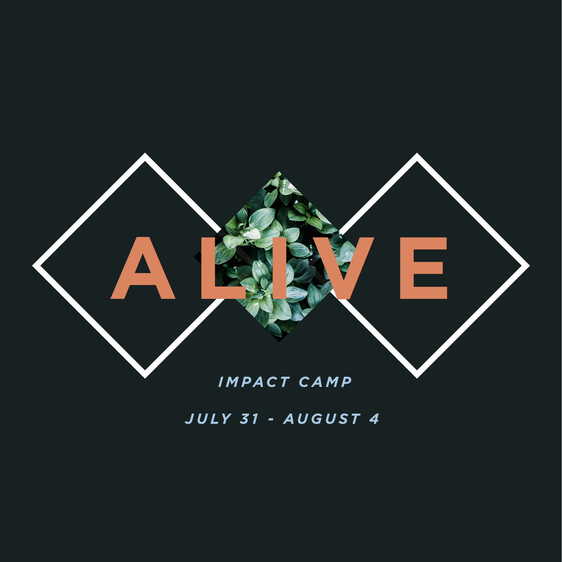 Alive impactcamp promotional 16