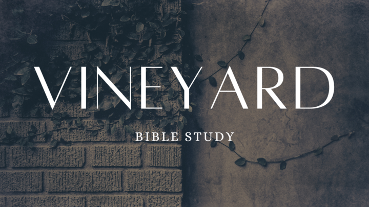 Vineyard logo