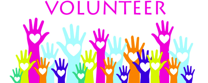 2016 volunteer 0