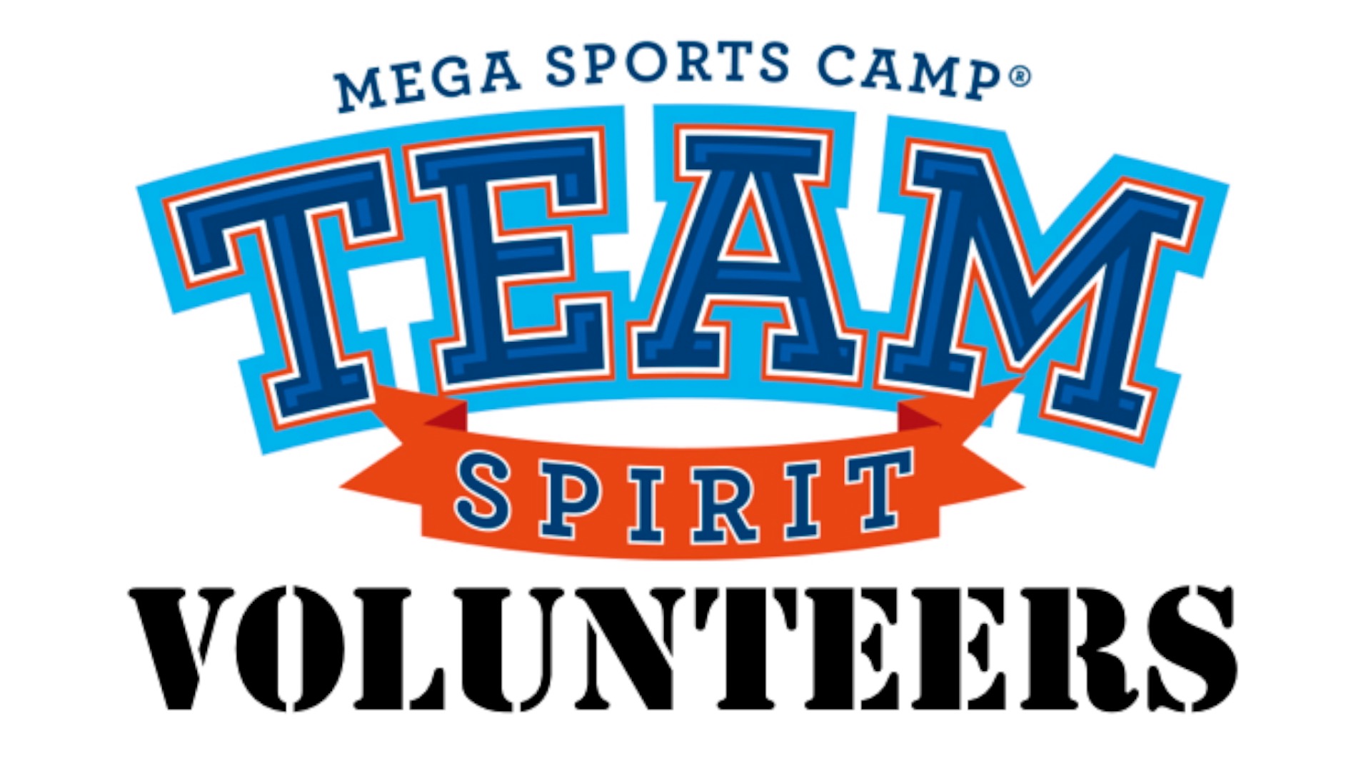 Msc volunteers logo