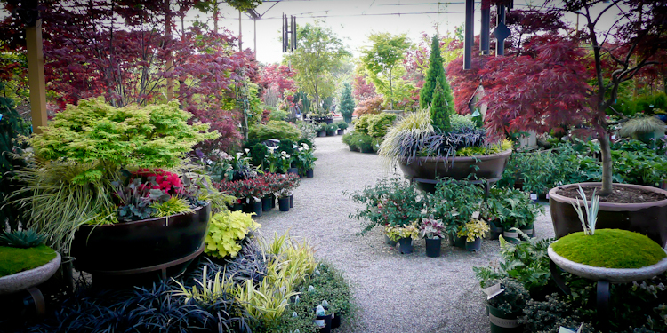 Nurserypath