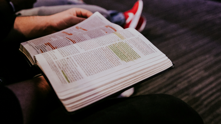 Fellowship of the Bean | Men's Inductive Bible Study logo