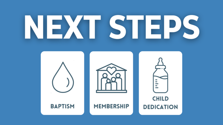 Next Steps logo