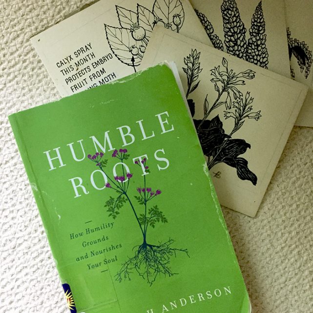 Humble roots 641x641