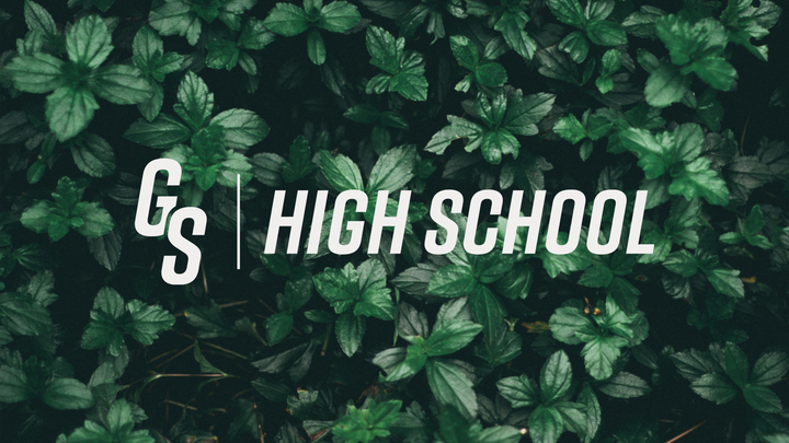 High School Group logo