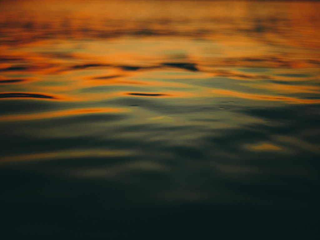 Image 1526309174855