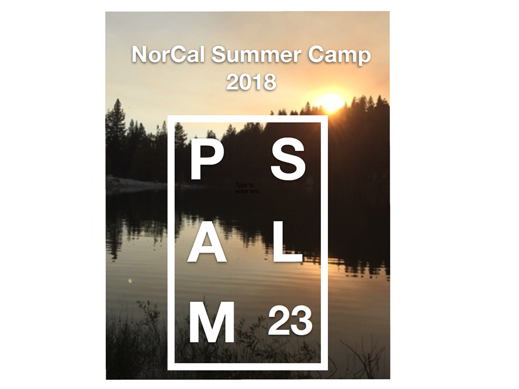 Summer camp cover art