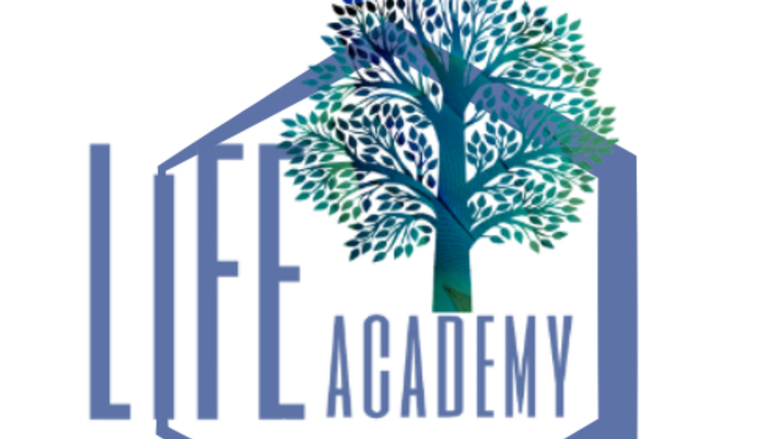 LIFE ACADEMY logo