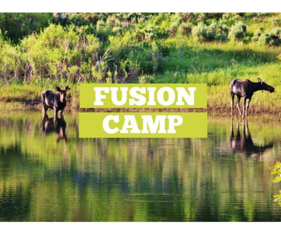 Fusioncampsimple