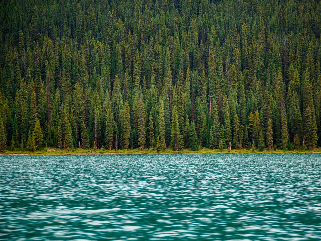 Image 1528746970967