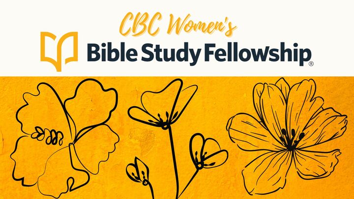 Bible Study Fellowship - Women's Group logo