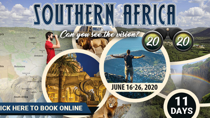 South Africa 2020 logo image
