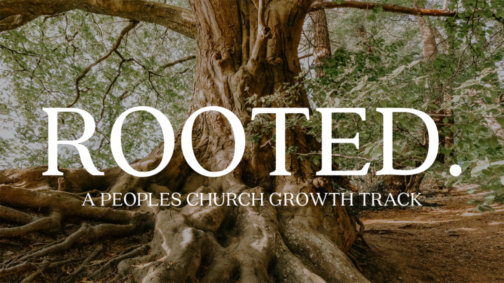 Rooted logo