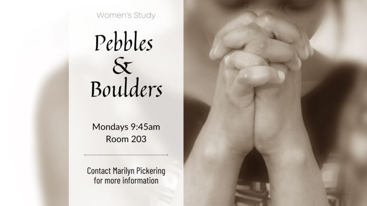 Pebbles and Boulders Women's Study logo