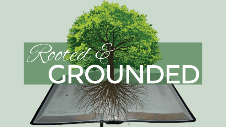 ROOTED & GROUNDED (A 1-year Bible Study Course; co-taught by Dr. Beverly Smallwood and Felicia Johnson) logo image
