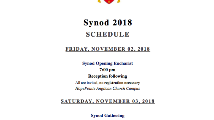 2018 Synod logo image
