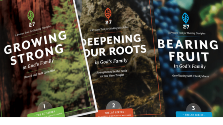 Discipleship Classes logo