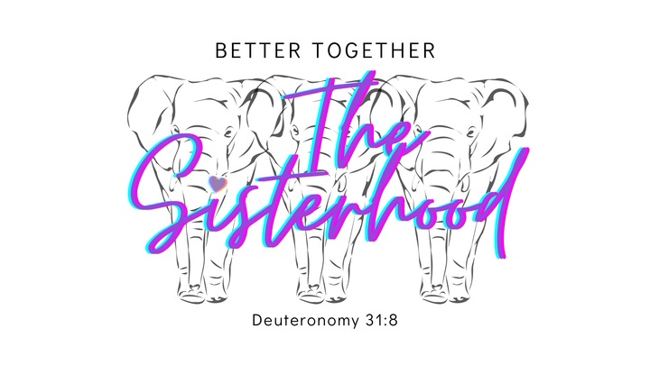 The Sisterhood [A Care Group for Widows] logo