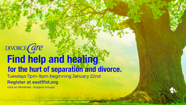 Medium wsdivorcecarejan2019 100