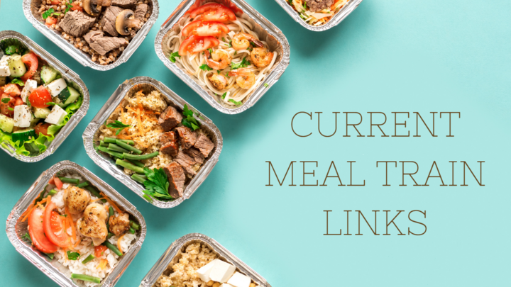 Current Meal Train Links logo