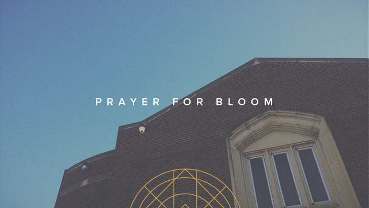 Wednesday Morning Prayer logo image