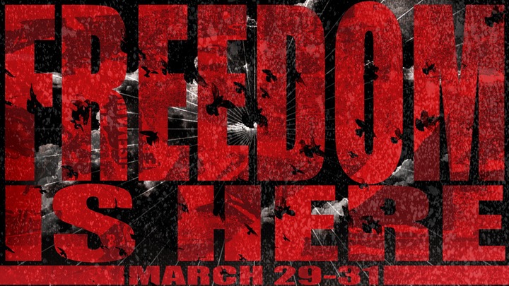Medium freedom is here web design 01