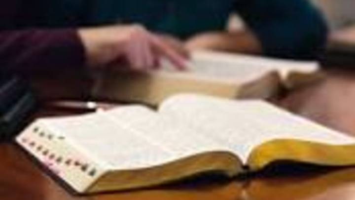 Bible Studies for Women, Fall 2019 logo image
