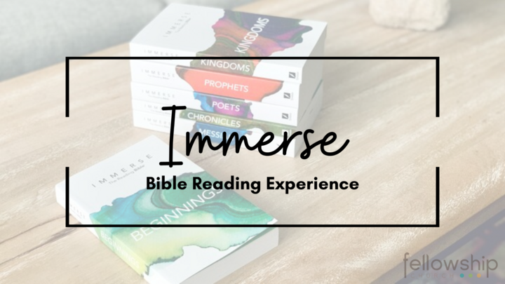Immerse Bible Reading Experience logo
