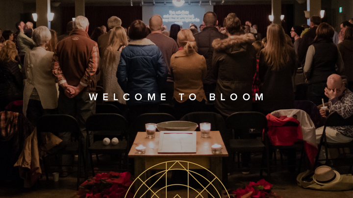 Welcome to Bloom logo image