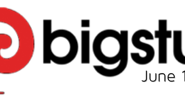 BigStuf 2019 logo image