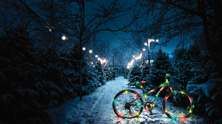 NFW | Christmas Bike Build | 2019: 12/8 logo image