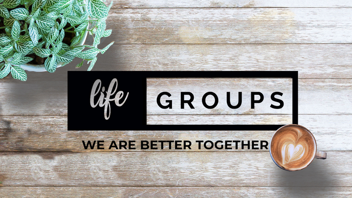 Life Group Questionnaire 2024-25 logo