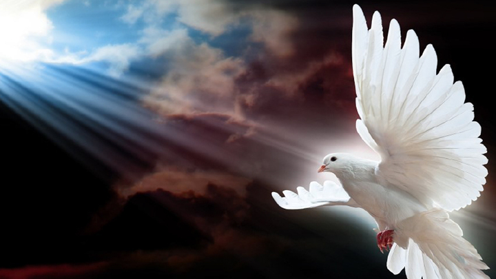 2024 EMC Women's Conference logo