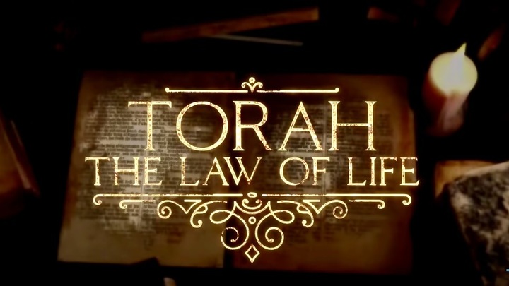 Deep Dive Bible Study | Torah: The Law of Life  logo