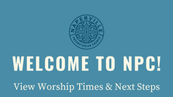 Information and Next Steps logo