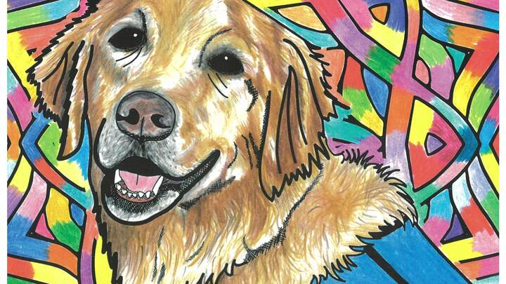 LCC Comfort Dog Coloring Book logo
