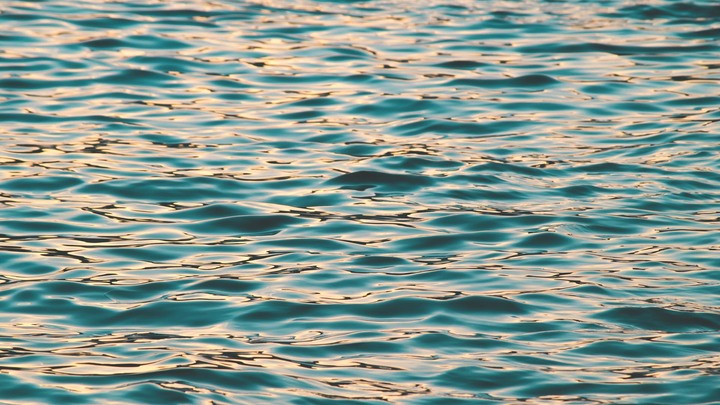 Preteen//Student Baptism Request Form (kids in 3rd-8th Grade) logo image