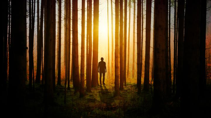 Medium android wallpaper art backlit 1114897