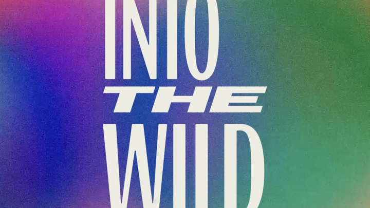Into the Wild 2019 logo image