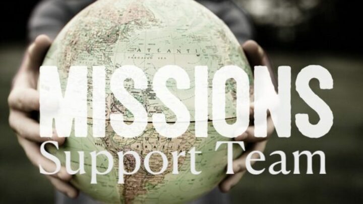Mission Support Team logo