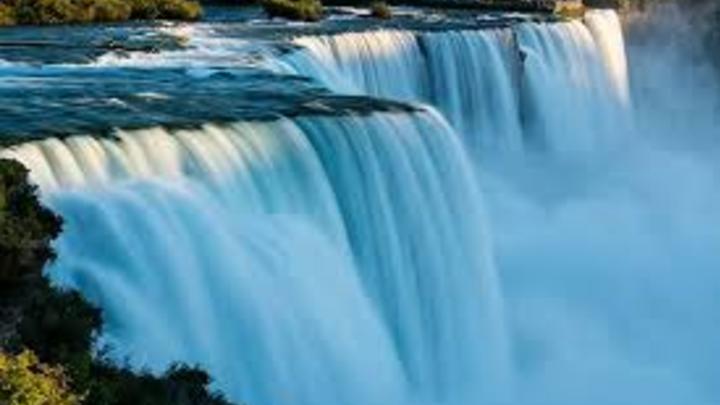 SAM Fall Trip to Niagara Falls logo image