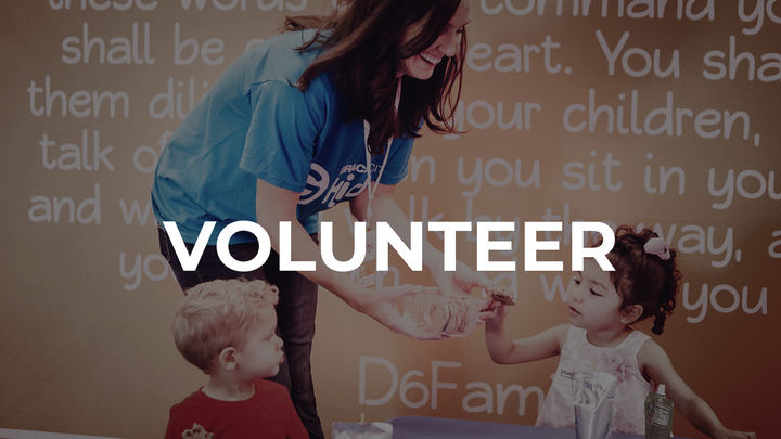 Volunteer logo image