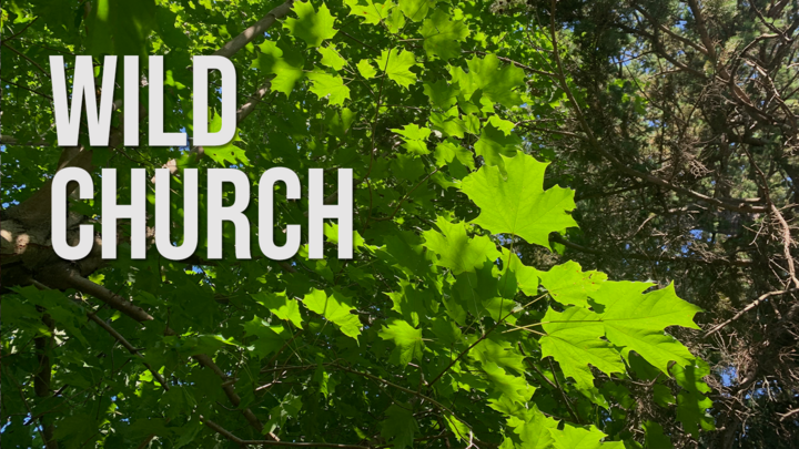Wild Church Calgary Monthly Gathering logo