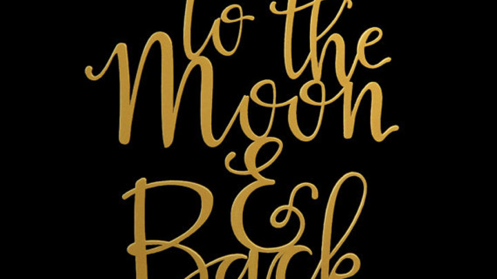 Father Daughter Dance logo image