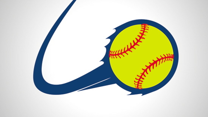 2019 Summer Men and Coed Softball Leagues logo image